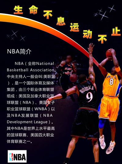 许多专家指